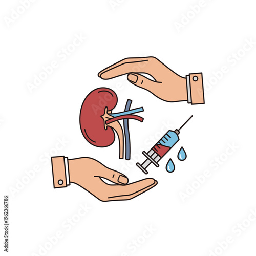 Kidney care and treatment concept: hands protecting organ, syringe and drops