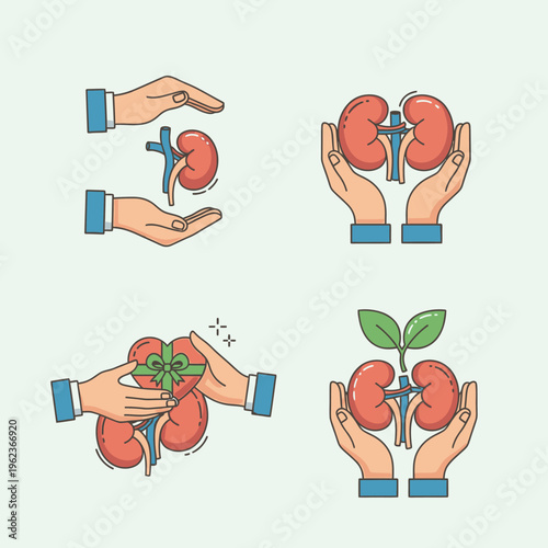 Kidney health and donation concept illustrations: protection, care, gift, and growth
