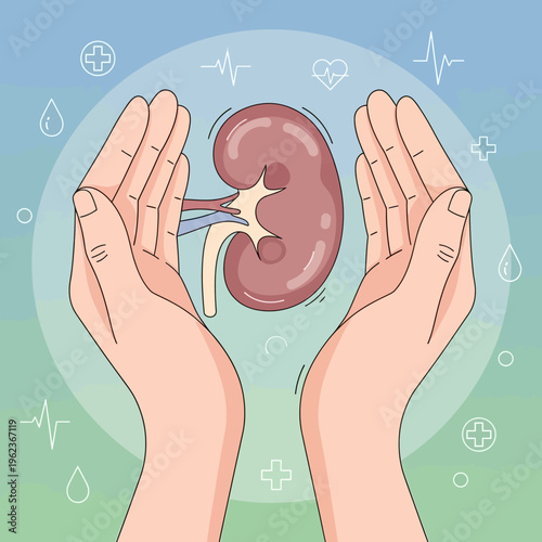 Kidney health care concept, hands protecting human kidney, medical symbols, health and wellness