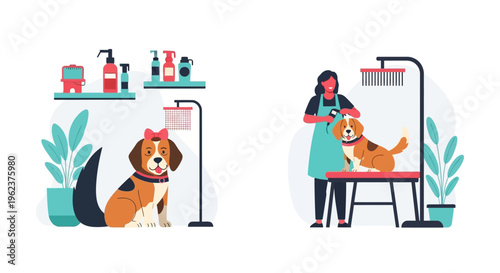 Dog grooming salon with pet care.