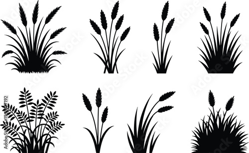 Grass and wild plants silhouettes collection with reeds meadow foliage black botanical illustration set