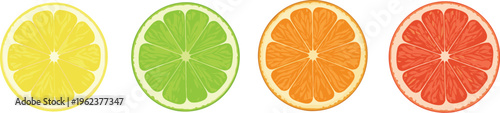 Citrus fruit slices set with lemon lime orange grapefruit colorful flat food illustration collection