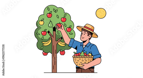 Farmer picking fruit from tree.