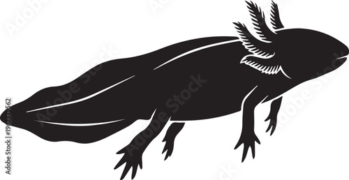 Axolotl Mexican Walking Fish Silhouettes