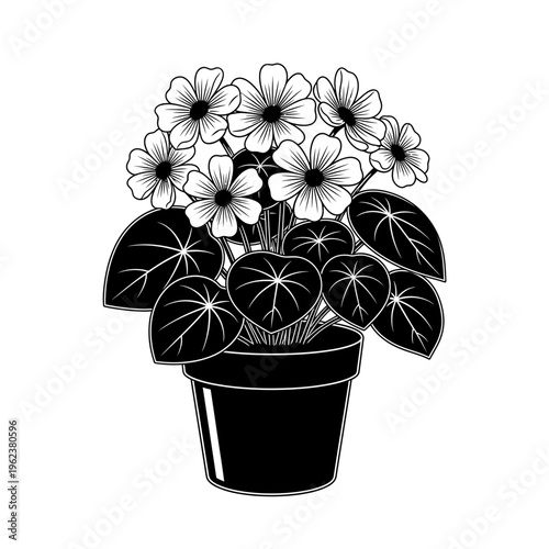Black and White Illustration of a Potted Flowering Plant with Large Leaves
