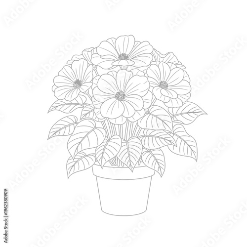 Outline drawing of a potted flowering plant with large blossoms and green leaves, isolated on white background.