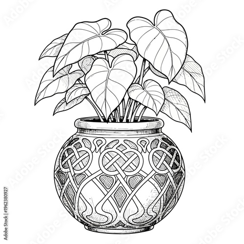 Ornate Celtic Knot Planter with Lush Green Leaves - Vintage Style Botanical Illustration