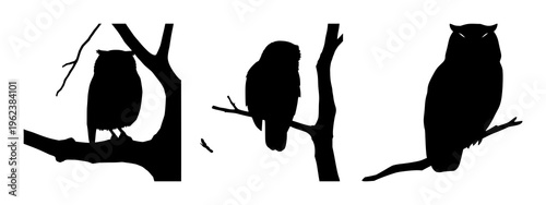 Owls set with detailed silhouette of a perched owl on a rugged tree branch featuring owls, silhouettes, nature with birds and woodland scenery