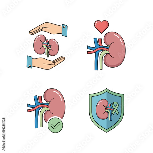 Kidney Health Icons: Protection, Care, and Awareness