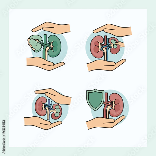 Kidney Health Protection: Hands Shielding Healthy and Diseased Kidneys