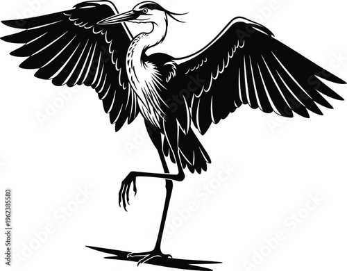 A heron standing on one leg with wings spread wide in black and white
