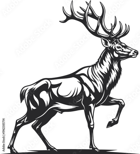 Majestic stag with large antlers in motion