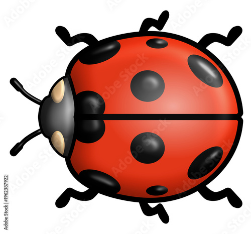 Ladybug Illustration PNG