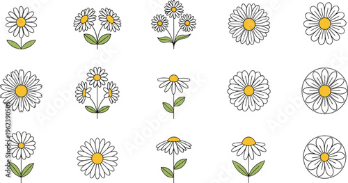 Daisy Flower Icon Set with Chamomile Flowers, Floral Elements, Botanical Illustration, Garden Flowers Outline and Color Vector Collection