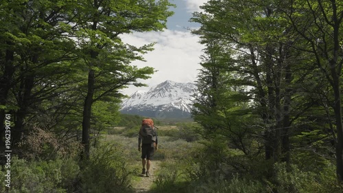 Hiker with a large backpack walking through a forest opening toward a snow-capped mountain peak in nature