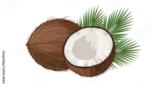 Detailed vector illustration of a whole brown coconut and a cracked open half with fresh green tropical palm leaves on a white background.