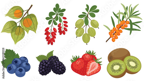 Selection of various healthy berries and fruits including strawberries, blueberries, kiwi, and gooseberries.