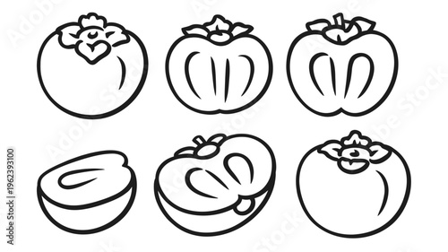Detailed line art illustration depicting six whole and half-cut persimmon fruits.