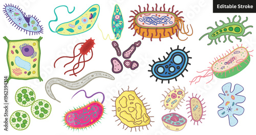 "Colorful Cartoon Microorganisms and Cells Vector Icon Set - Editable Stroke Biology and Microbiology Illustrations"