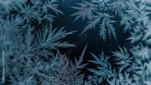 Frost patterns on glass for winter and cold themes. Intricate ice crystal formations with feathery branches. Dark blue and white color scheme. Static video background. Seamless loop