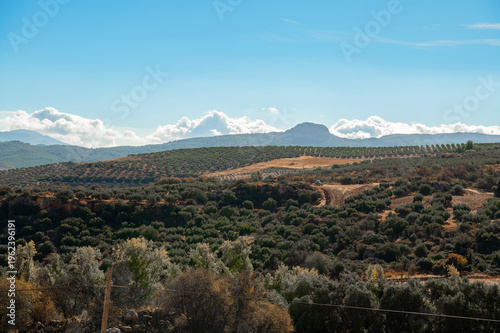 Andalusia Spain rural landscape olive groves countryside hills agricultural land scenic nature Europe