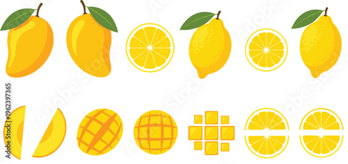 Mango and lemon fruit collection with whole sliced pieces cubes and citrus variations vector illustration isolated on white background