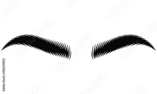 Vector illustration of thick bushy eyebrows on white background