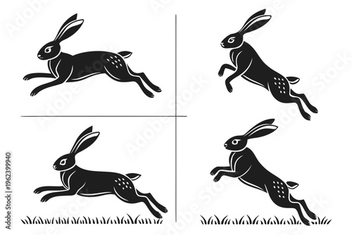 vector illustration of a rabbit
