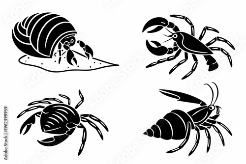 Black and white illustration of various crustaceans and a hermit crab