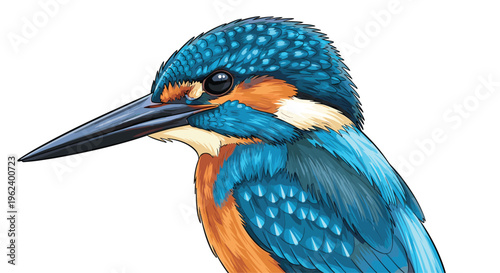 Exquisite common kingfisher bird head, featuring vibrant blue and orange plumage, a sharp black beak, and an intense, focused eye.