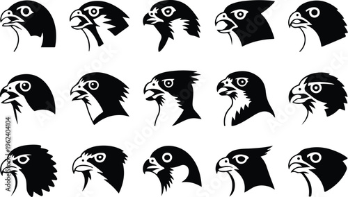Falcon Silhouette Icon Collection Set