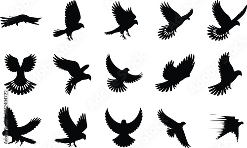 Falcon Silhouette Icon Collection Set