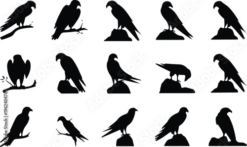 Falcon Silhouette Icon Collection Set