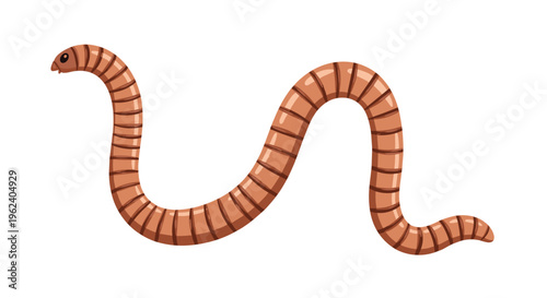 Long segmented earthworm, wiggling gracefully, showcasing its brown color and simple, tubular body structure.