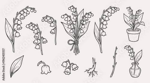 Lily of the valley flower set, hand drawn vector illustration of spring lily of the valley flowers and leaves isolated on white background
