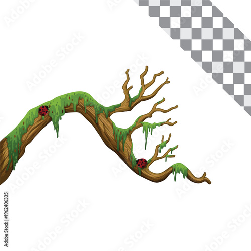 floral element rock, mashroom, leave on transparent background