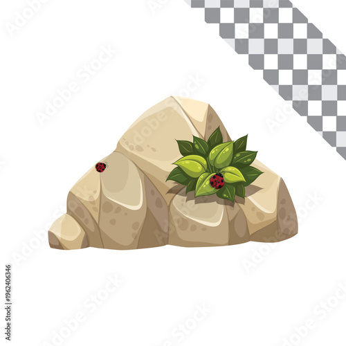 floral element rock, mashroom, leave on transparent background