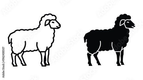 Contrast between a white and a black sheep standing side by side