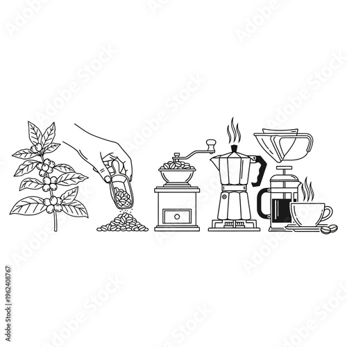 Coffee Making Process: From Bean to Cup - Grinding, Brewing Methods