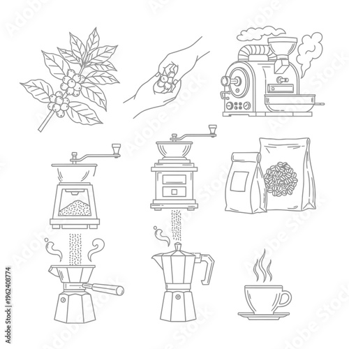 Coffee Production Process: From Bean to Cup - Line Art Icons