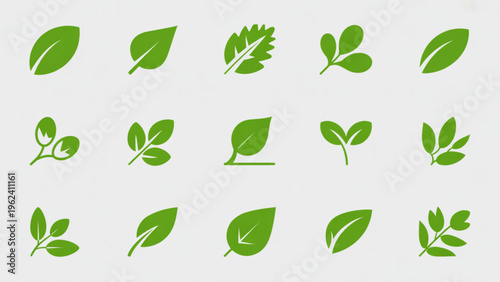 Diverse green leaf designs showcasing various shapes and arrangements in a simple and clean style Vector