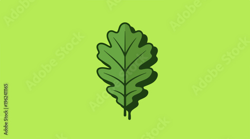 Green oak leaf illustration on a light green background for design.