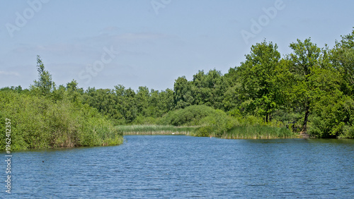 Summer landscape with blue lake and green trees in Hoge Kempen nature reserve, Genk, Flanders, Belgium