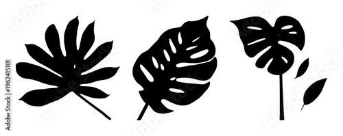 Monstera leaf silhouette set with elegant black line design featuring botanical, horticulture, plant art with plants and greens