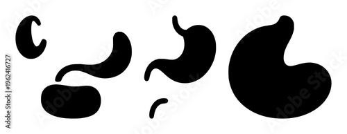 Stomach silhouette set with a single black outline line showing abdominal region, featuring anatomy, medical illustration, body with simple design and minimalist