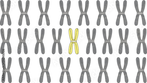 Single yellow unique chromosome highlighted among group of grey chromosomes for genetic research DNA mutation medical science and individuality concept