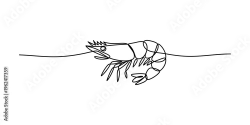 Single line art illustration of a prawn or shrimp in a minimalist style on white.