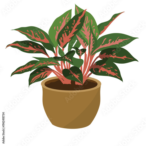 houseplant in pot illustration, graphics, art, cartoon