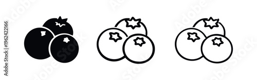 Blueberry fruit icon set. Healthy natural berry symbol. Sweet and fresh ingredient elements.
