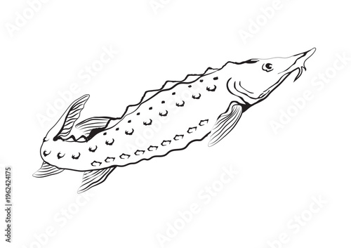 Black and white vector illustration of a surgeon